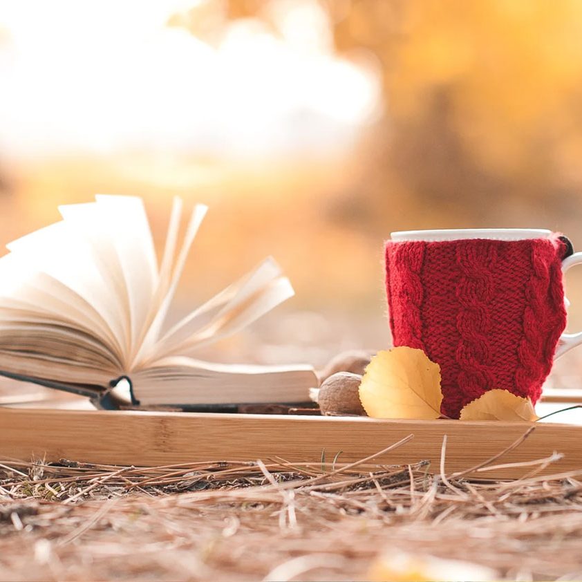 Fall-AFVkx26vnbgCX6.jpg