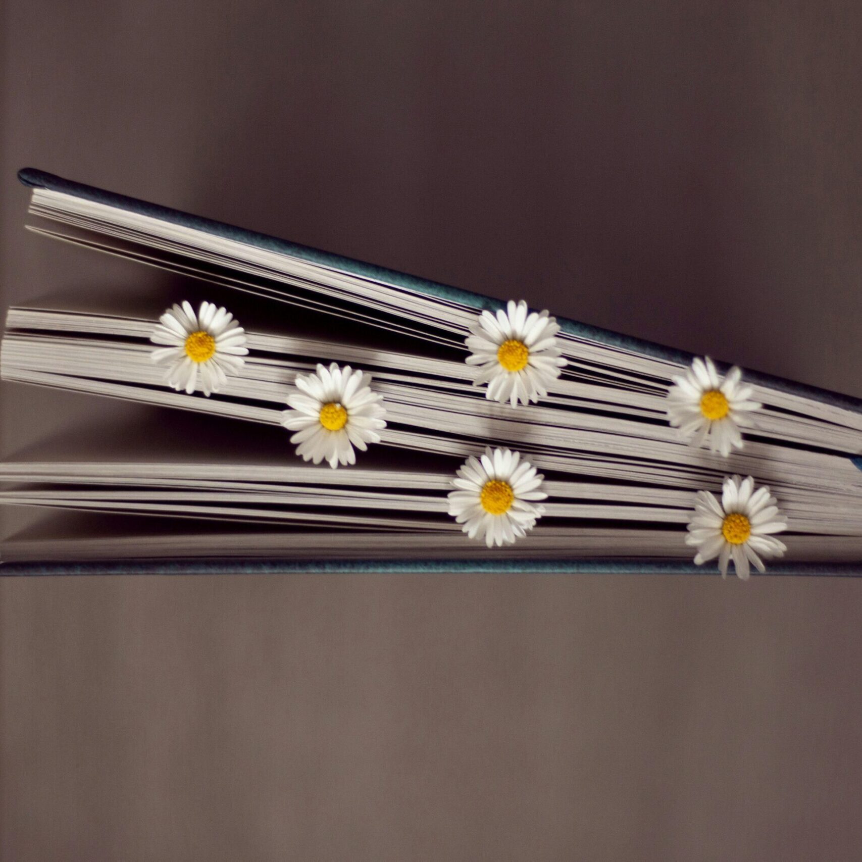 book with spring flowers